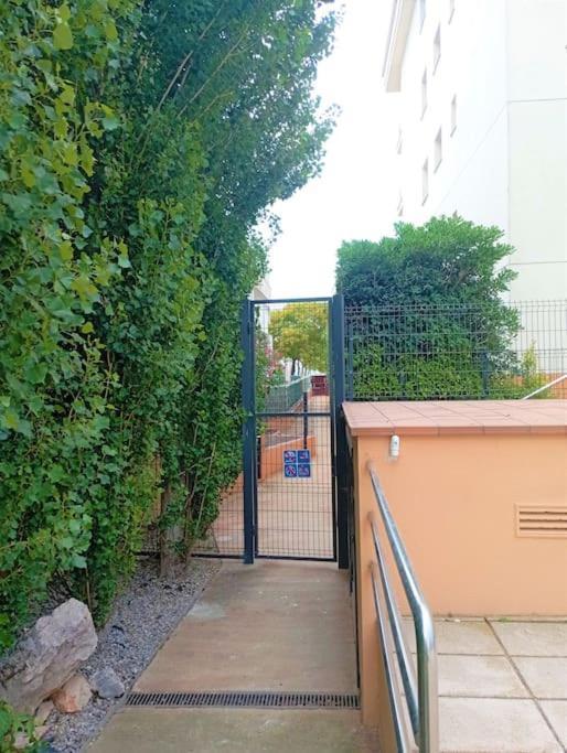 Apartamento En Primera Linea De Mar ロザス エクステリア 写真